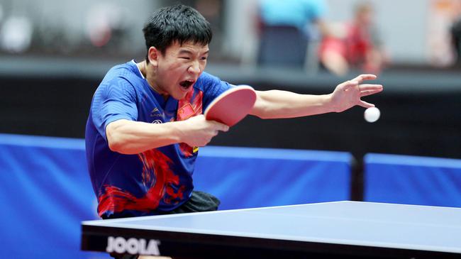 许多球迷感 许多球迷感